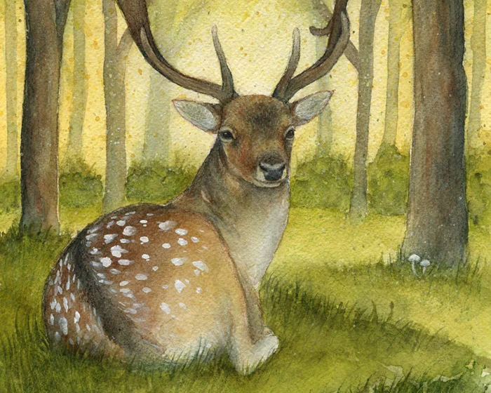 ART0055 Forest Deer THUMB