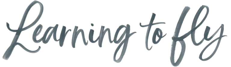 Learning to Fly DARK 1024px